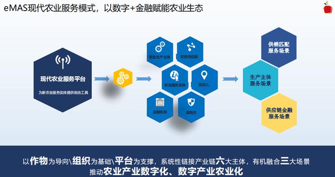 蘋果公司的農(nóng)業(yè)供應(yīng)鏈 財(cái)務(wù)會(huì)計(jì)視角下的規(guī)模、管理與創(chuàng)新